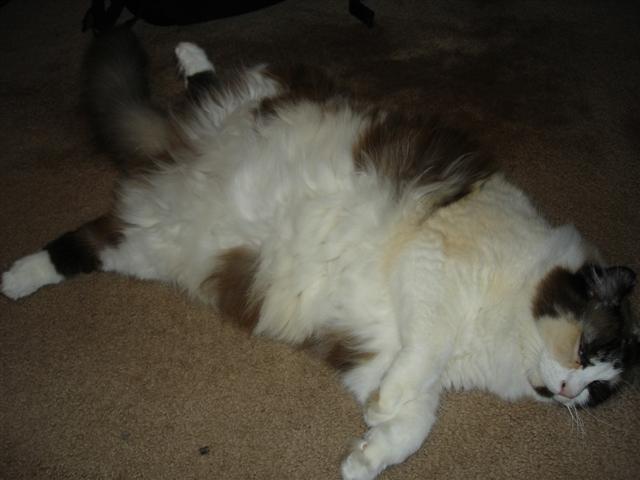 10-11-05 012 (Small).jpg