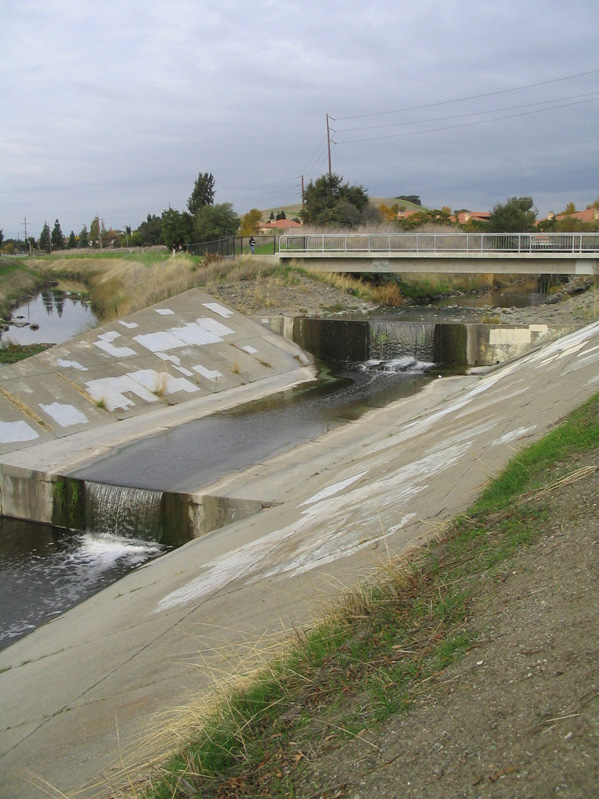 148_4880.1.jpg