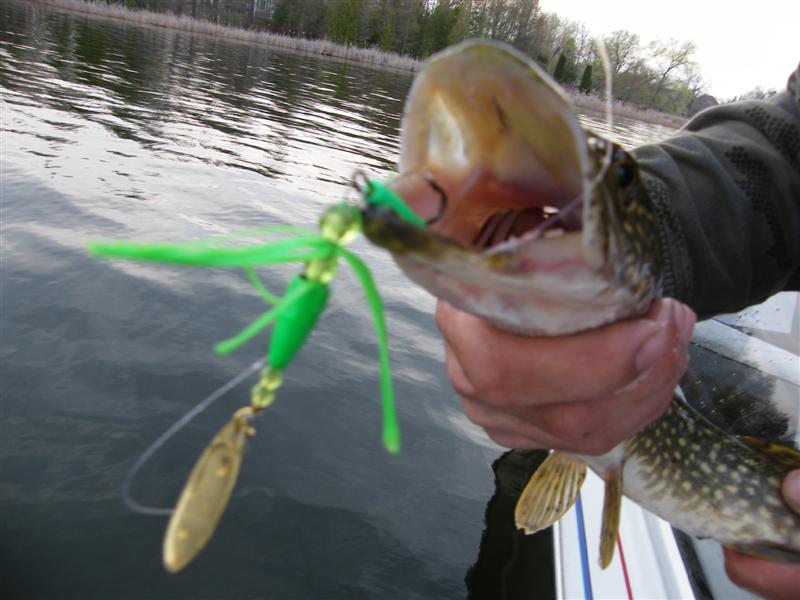 2008_0510kyleday20120 (Medium).JPG