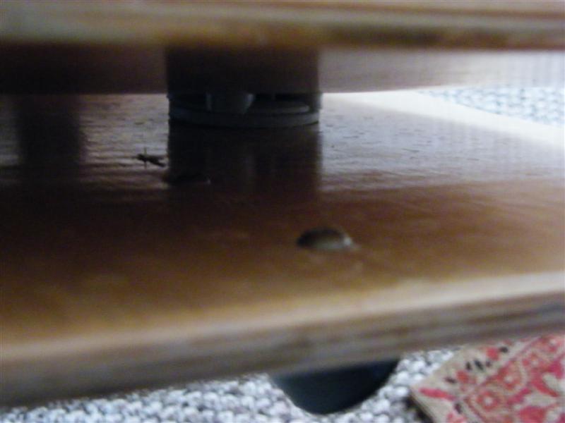 2008_0521finz0002 (Medium).JPG