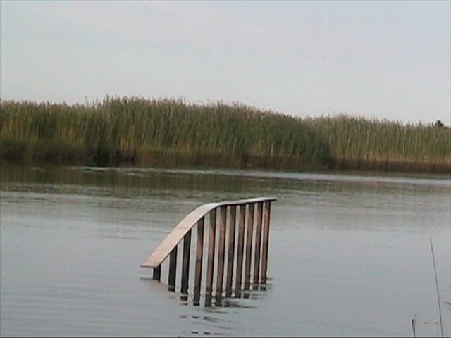 8_9_2006 6_43 PM_0001.jpg