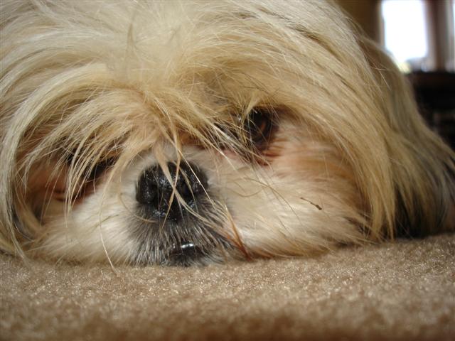 9-13-05 003 (Small).jpg