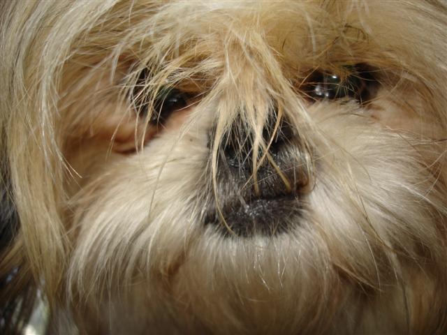 9-13-05 005 (Small).jpg