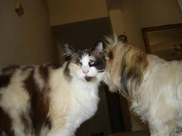 9-13-05 007 (Small).jpg