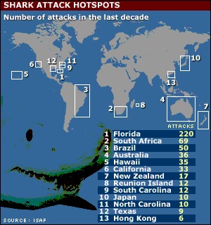 _1528916_shark_atcks_world3_300map.gif