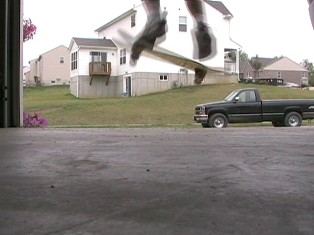 alexskate5.jpg