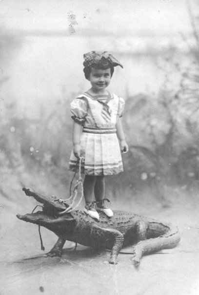 alligator.jpg
