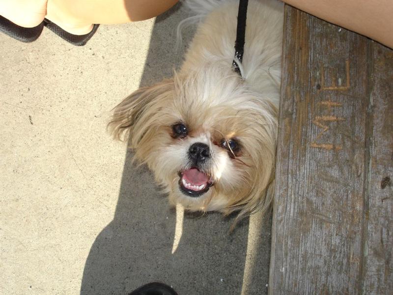 august 9th 05 033small (Medium).jpg