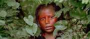 Baraka0479.jpg