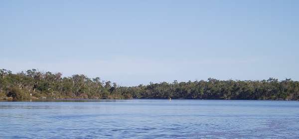 blackwoodWBC 048.jpg