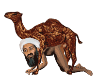 camelfuck.gif
