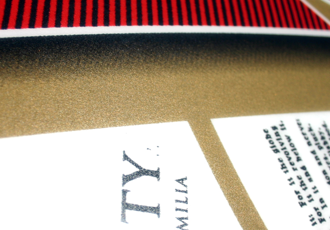 close up on metalic low res.JPG