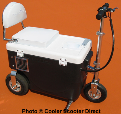 cooler scooter black 500w.jpg