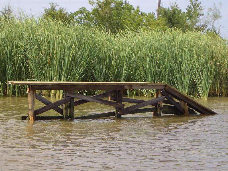 Darins pictures 167.jpg