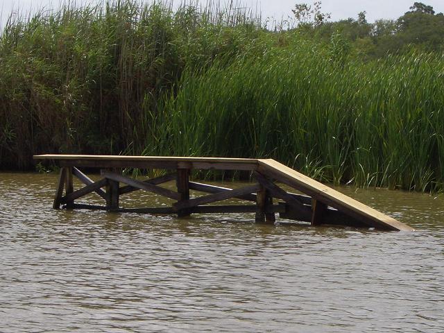 Darins pictures 170.jpg