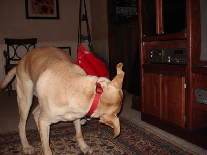 DSC01122 (Medium).JPG