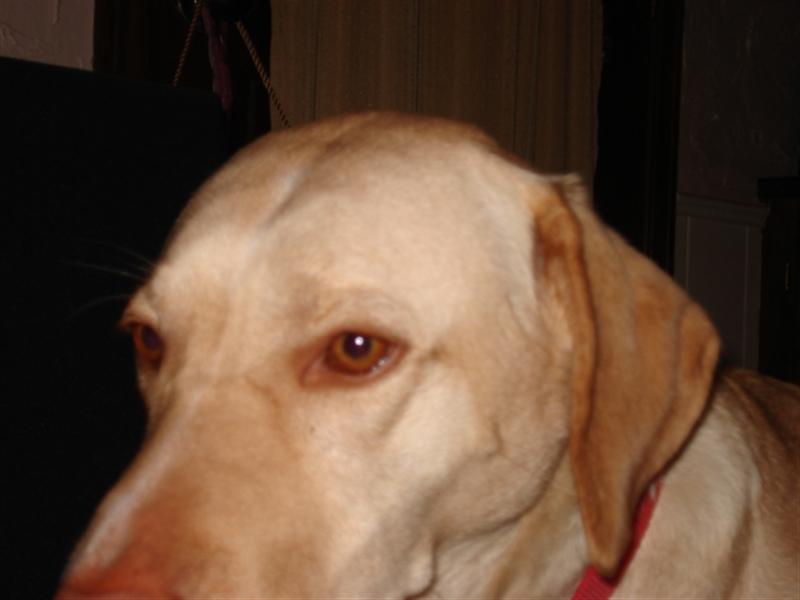 DSC01222 (Medium).JPG