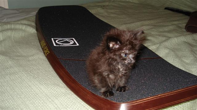 DSC01620 (Small).JPG