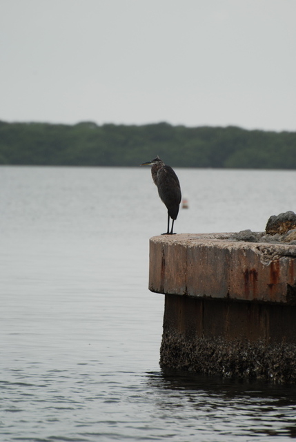 DSC_0019.jpg