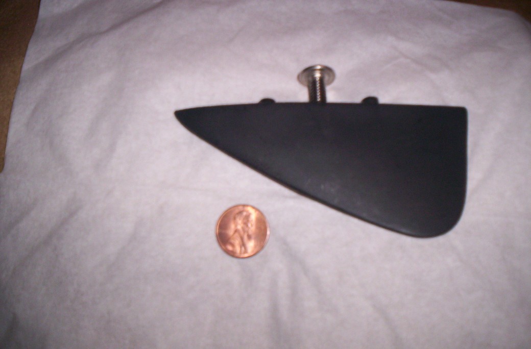 fins (1040 x 684).jpg