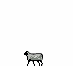 foot_sheep.gif