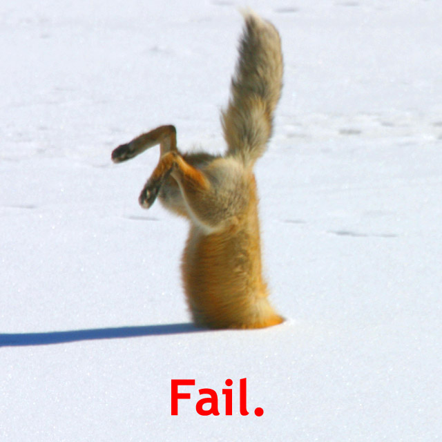 foxfail.jpg