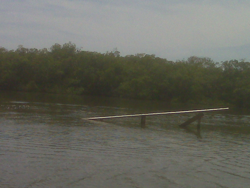 IMG00097.jpg