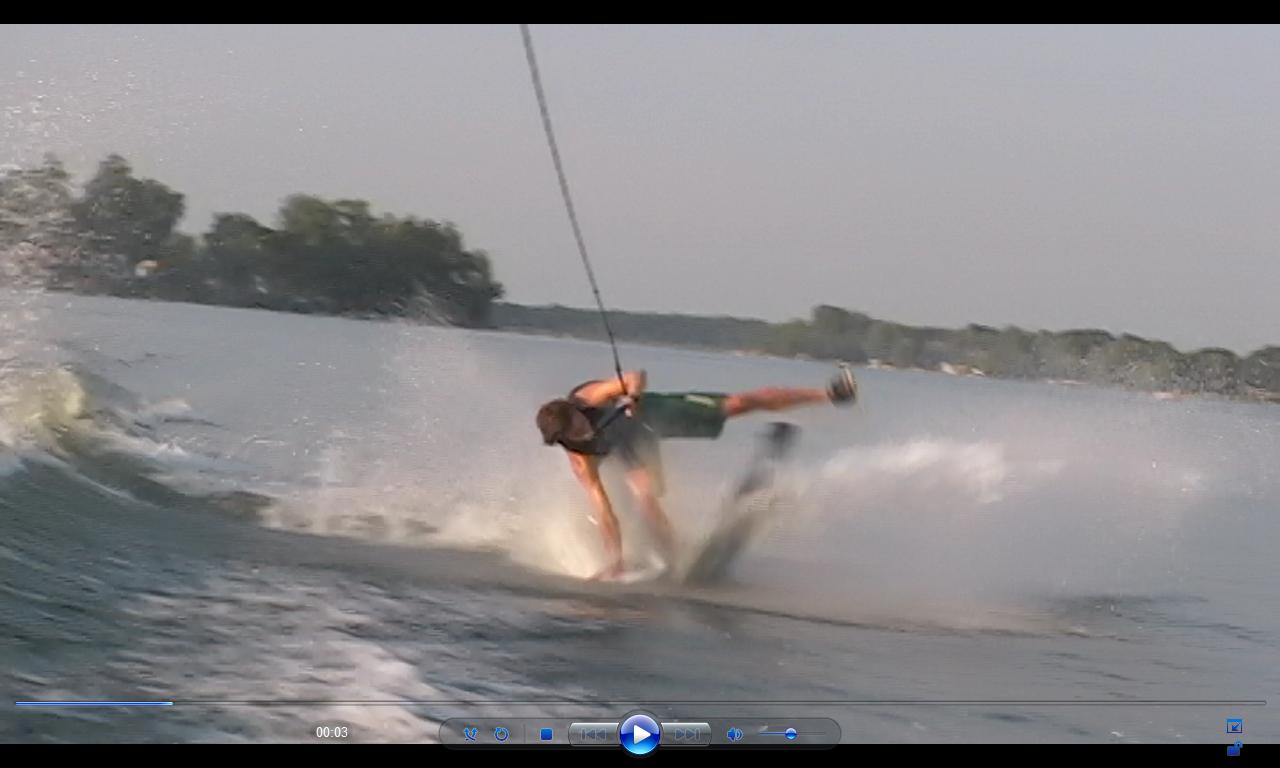 kyle sick wombat.jpg