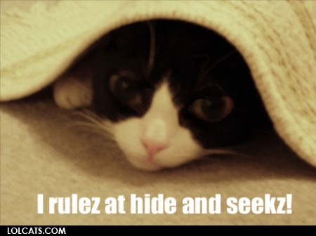 lolcatsdotcomi714z4zgzvo6gn4x.jpg