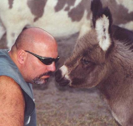 mel_and_baby_donkey.jpg