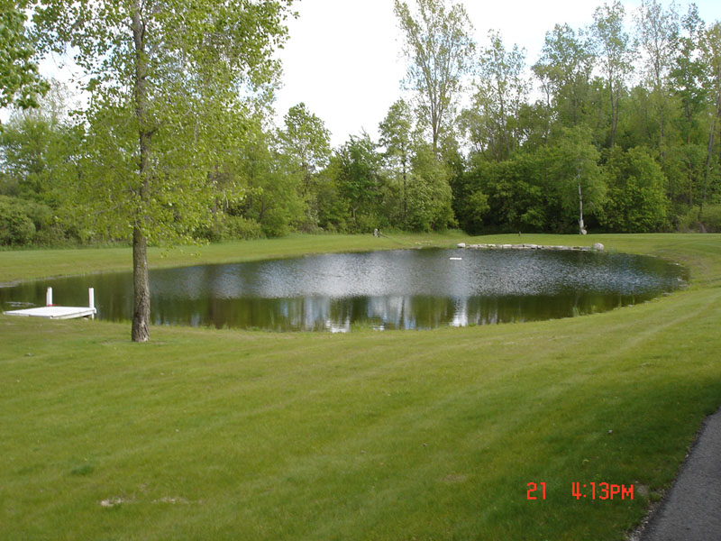 newpond.jpg