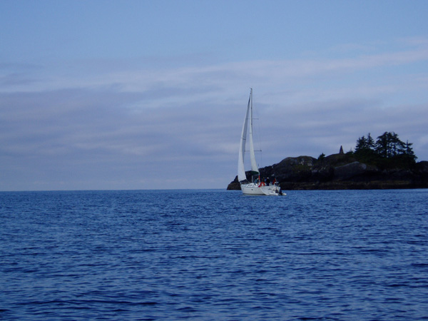 nootka 011.jpg