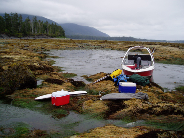 nootka 019.jpg