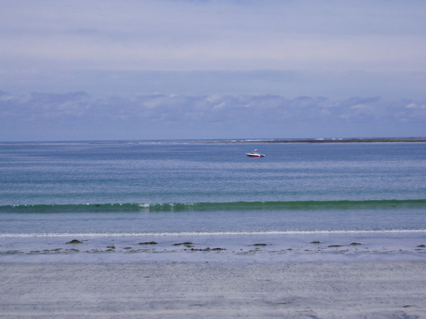 nootka 021.jpg