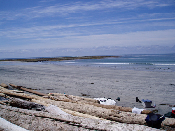 nootka 022.jpg