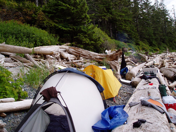 nootka 033.jpg