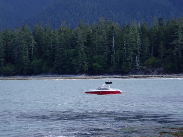nootka 078.jpg