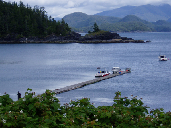 nootka 083.jpg