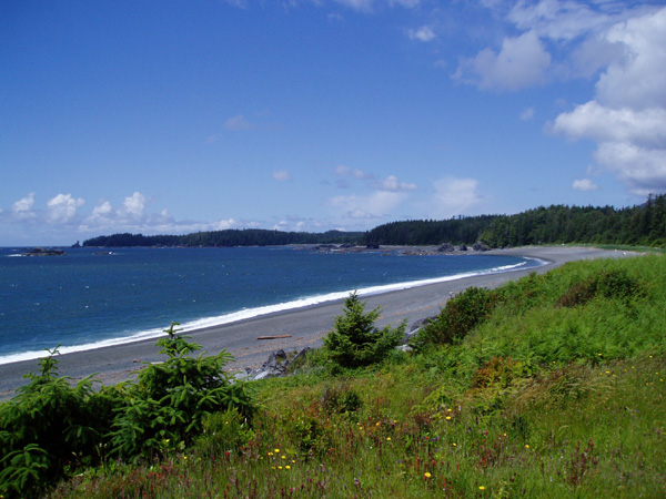 nootka 100.jpg
