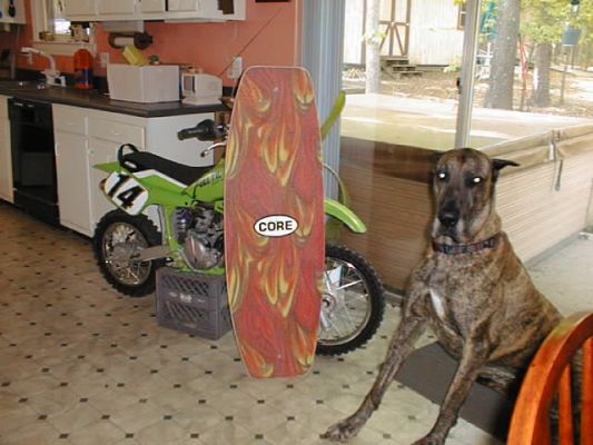 normal_Corebikedog.jpg