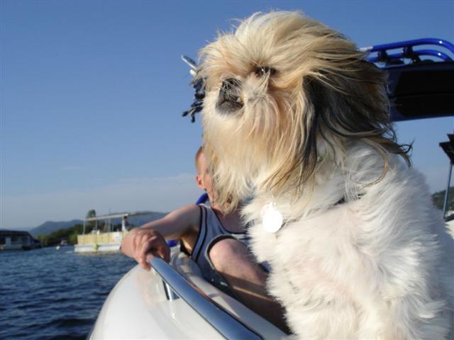 oroville june 24-26 014small (Small).jpg