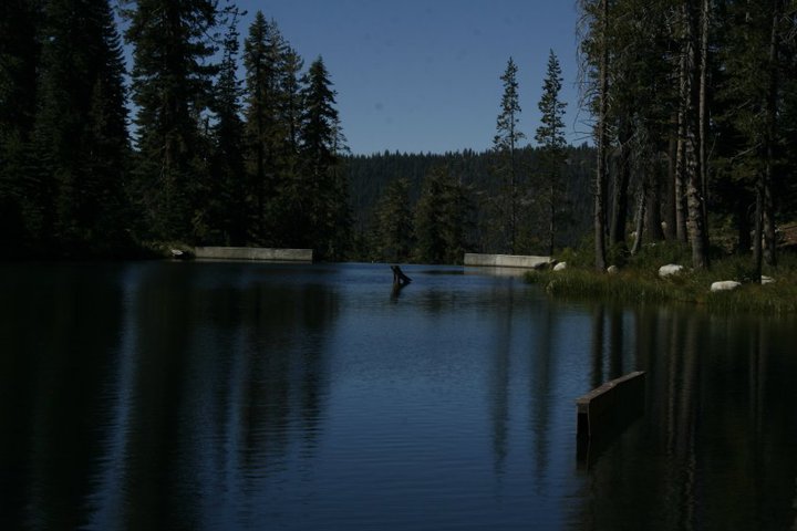 park1.jpg