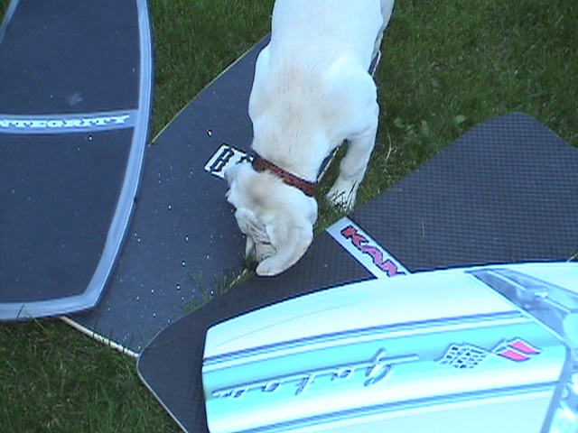 quiver1.JPG