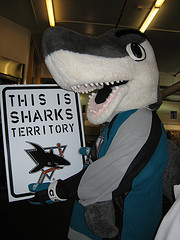sjsharkie.jpg