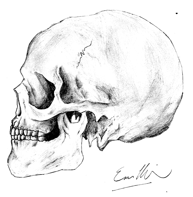 skullc.jpg