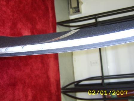STA71785.JPG
