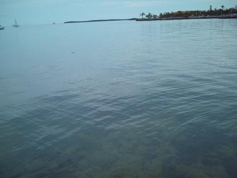 the keys5.JPG