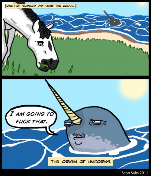 the_origin_of_unicorns.jpg