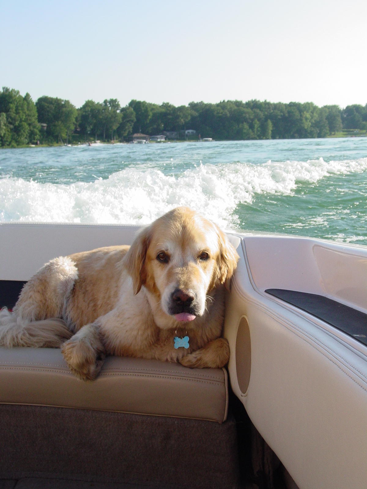 VerpsLabCoreyLake2 copy.jpg