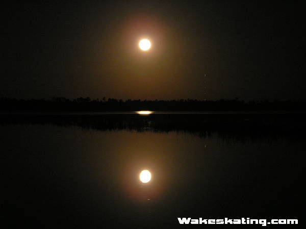 319Picture_0161